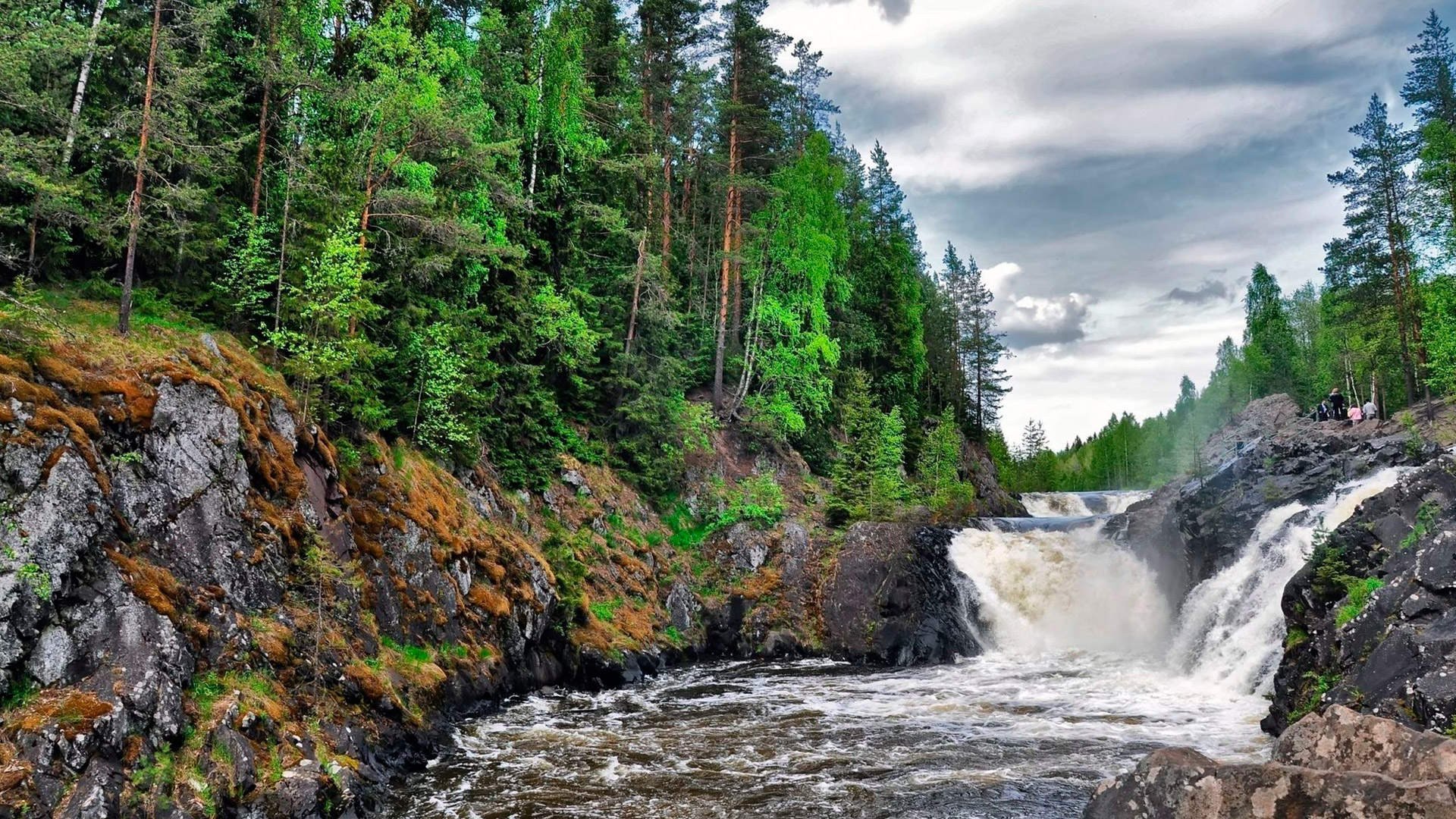 Заголовок