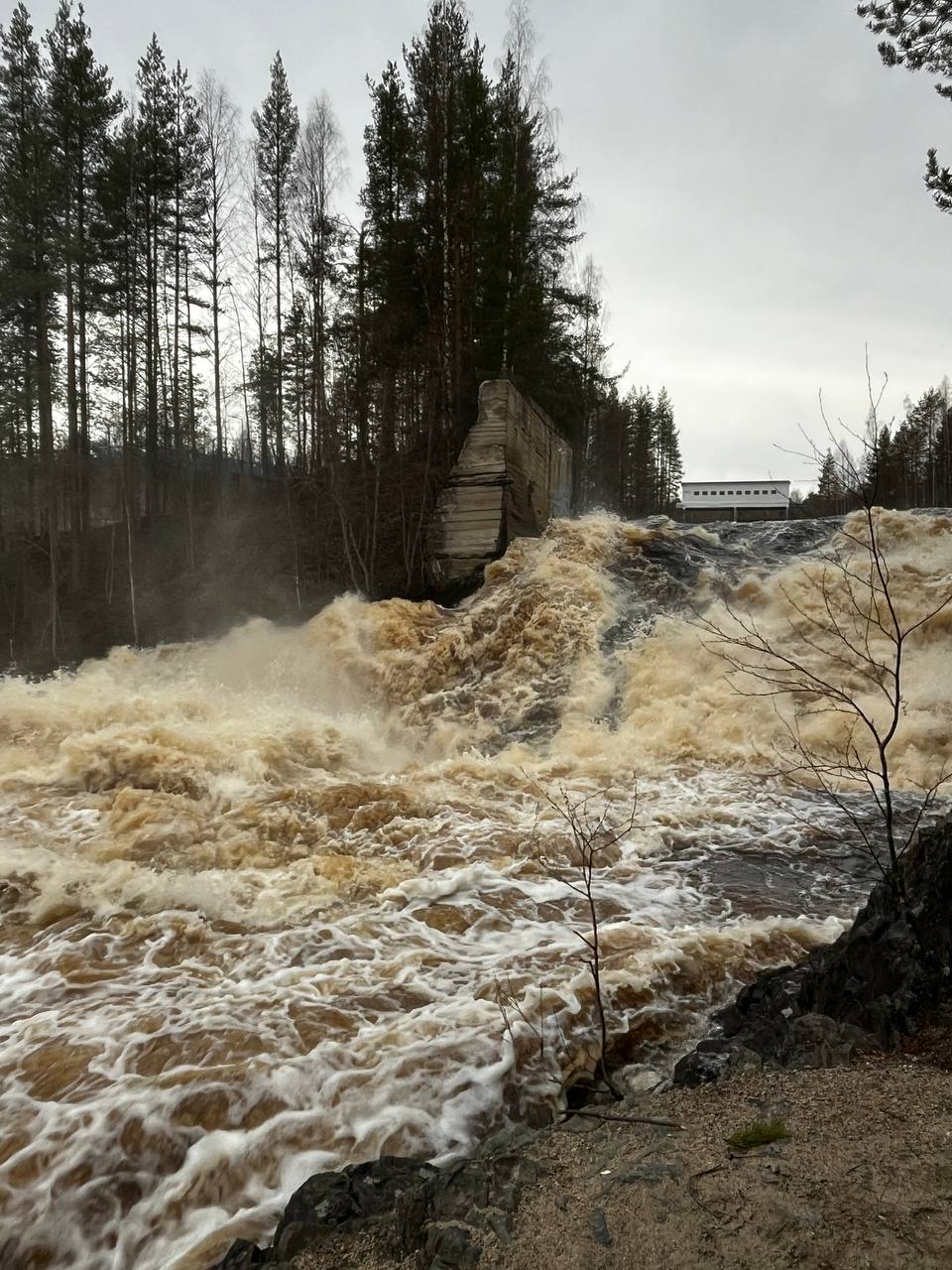 Заголовок