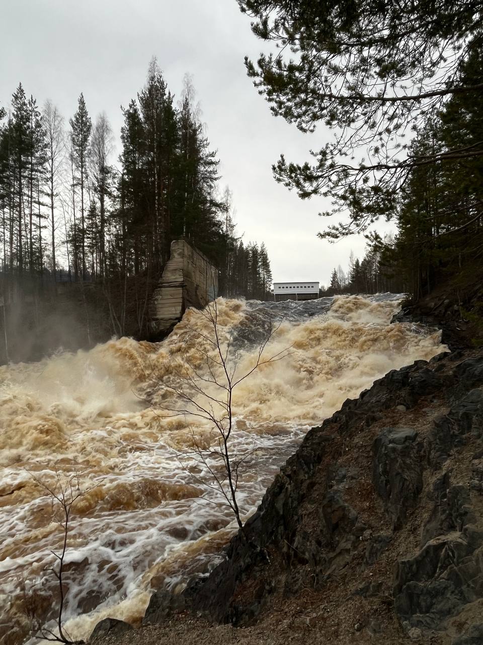 Заголовок